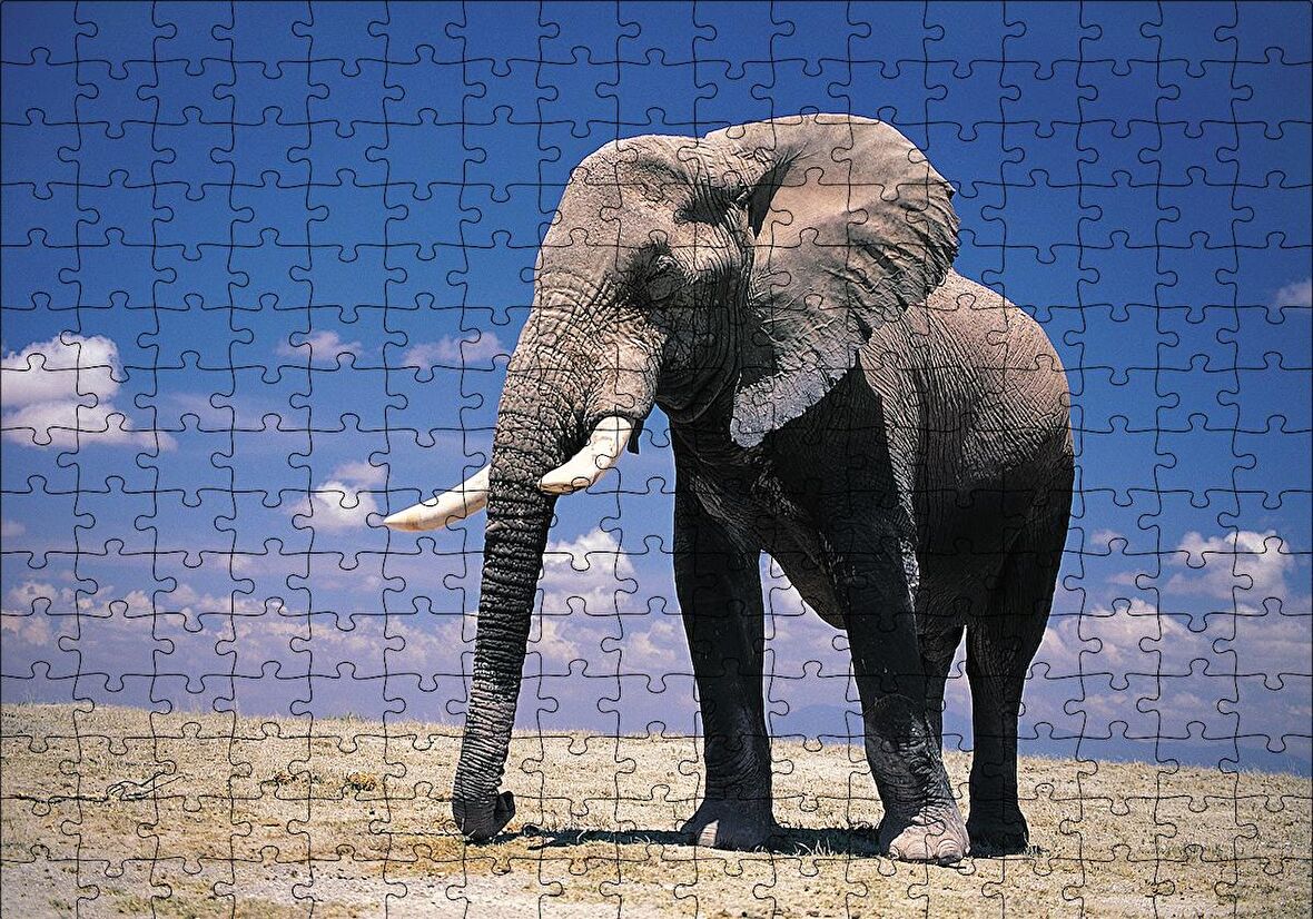 Cakapuzzle  Yalnız Fil Puzzle Yapboz MDF Ahşap