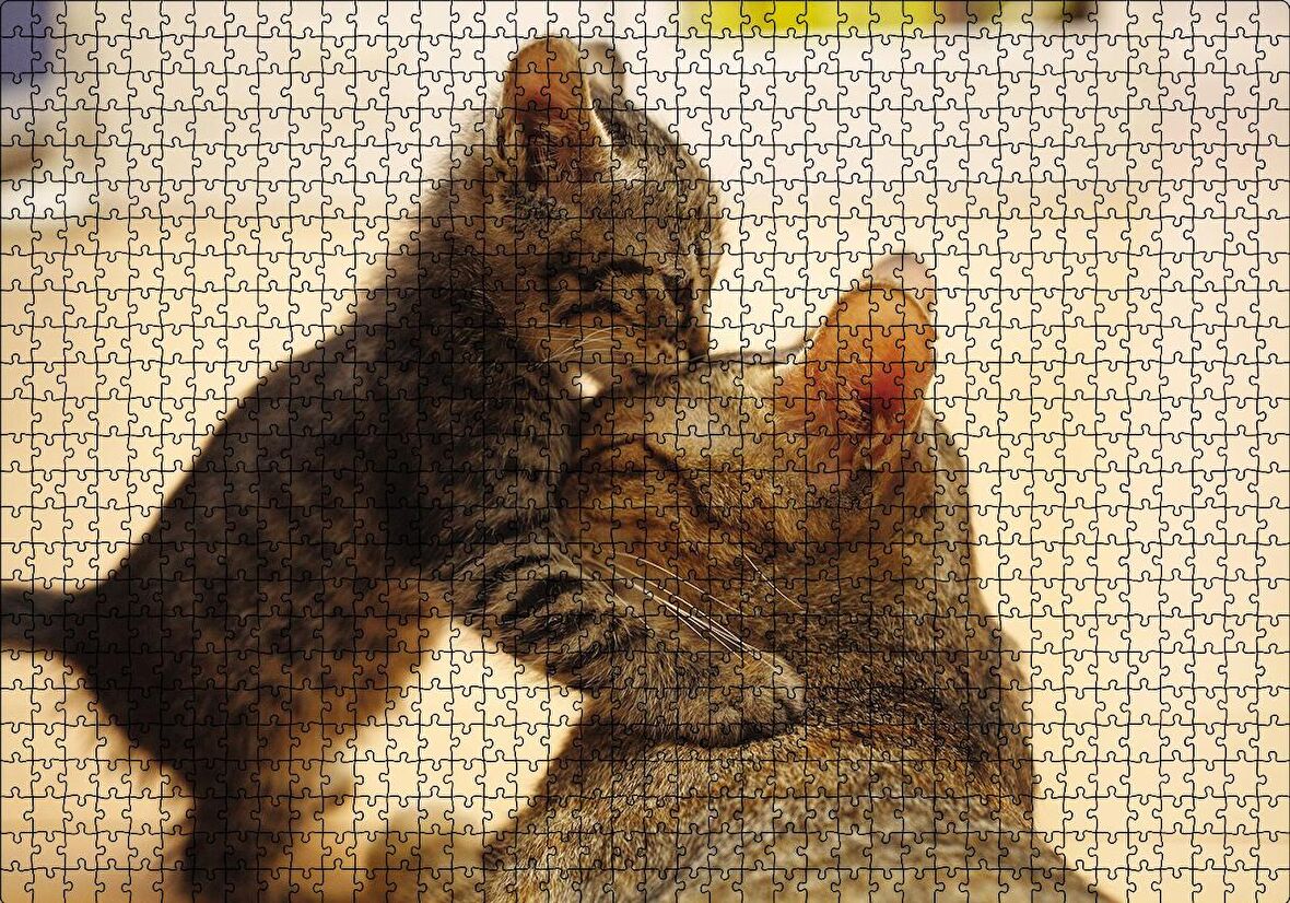 Cakapuzzle  Yavru Kedi Anne Sevgisi Puzzle Yapboz MDF Ahşap