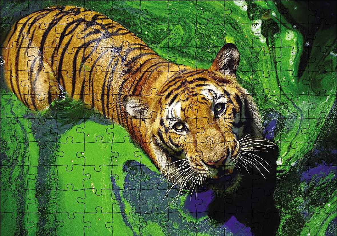Cakapuzzle  Yosunlu Suda Kaplan Puzzle Yapboz MDF Ahşap