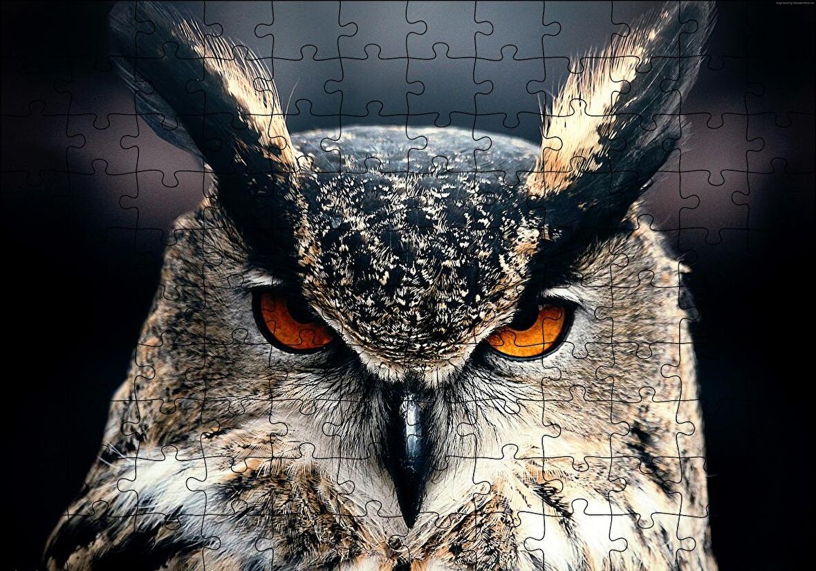 Cakapuzzle  Baykuş Kalın Kaşlar Yakın Çekim Puzzle Yapboz MDF Ahşap