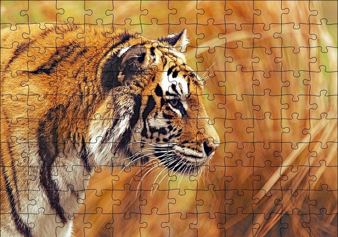 Cakapuzzle  Bengal Kaplanı Puzzle Yapboz MDF Ahşap