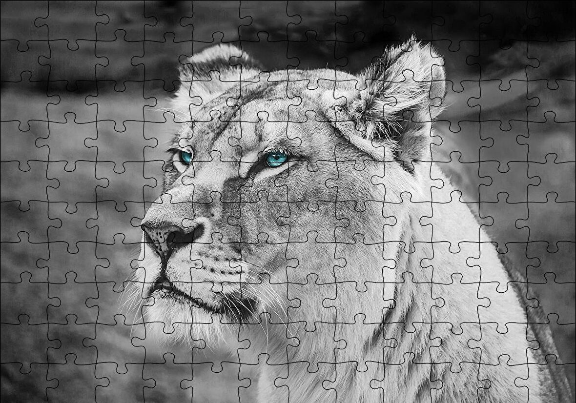 Cakapuzzle  Dişi Aslan Monochrome Puzzle Yapboz MDF Ahşap