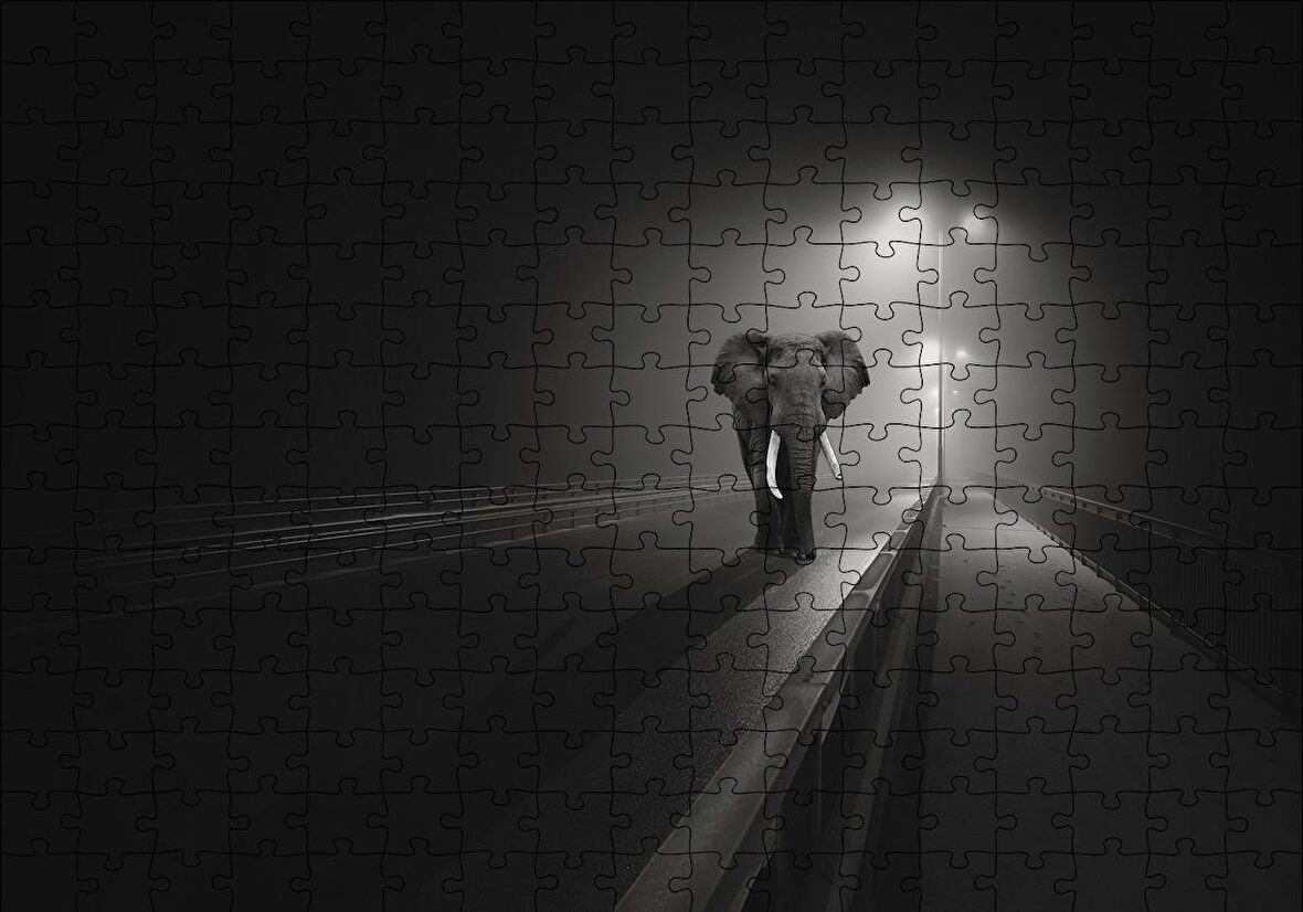 Cakapuzzle  Gece Otoyol Sis ve Fil Puzzle Yapboz MDF Ahşap