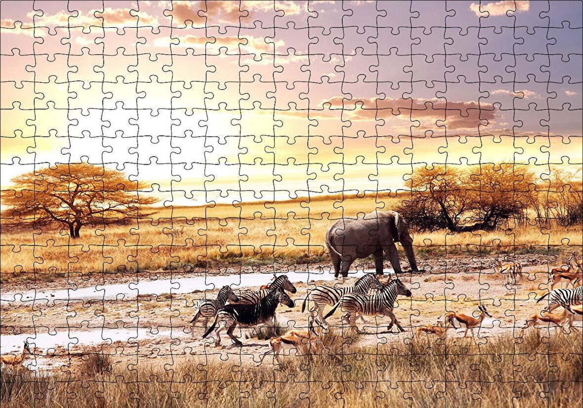Cakapuzzle  Savanada Filler Zebralar ve Antiloplar Puzzle Yapboz MDF Ahşap