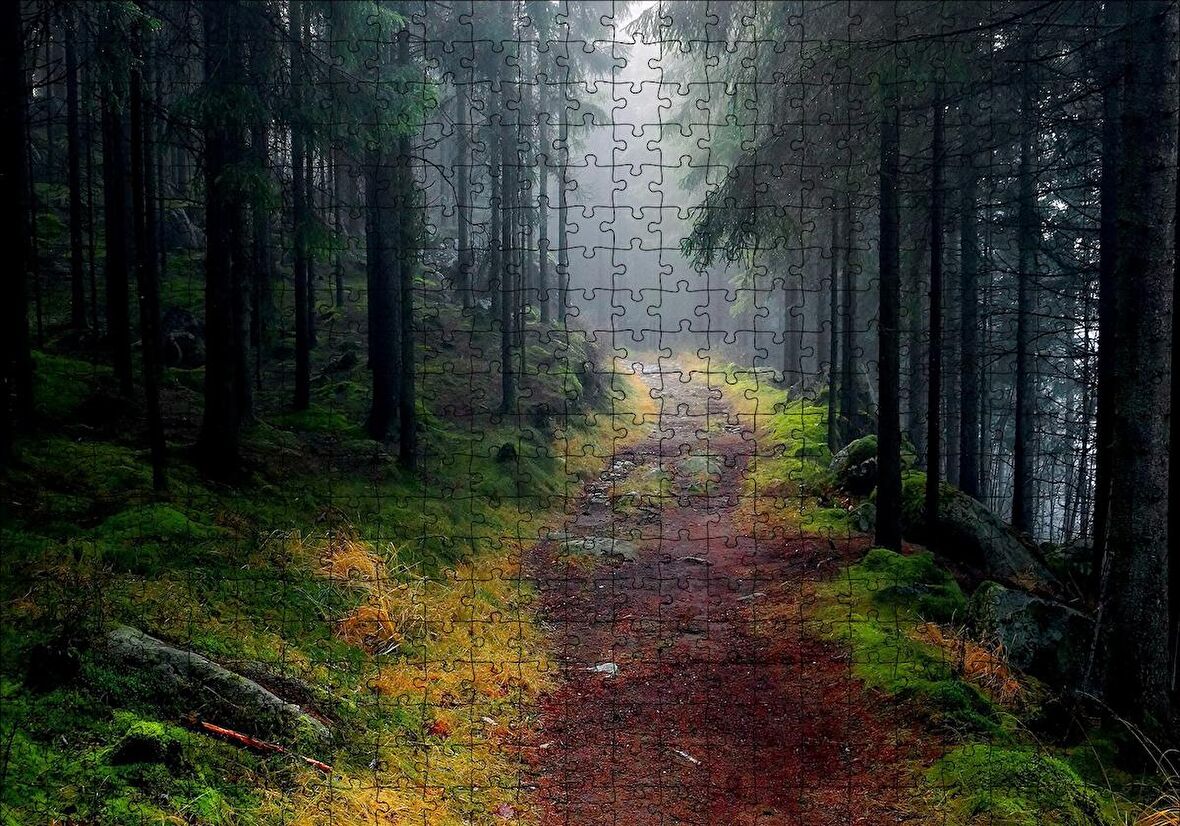 Cakapuzzle  Sisli Ormandaki Patika Puzzle Yapboz MDF Ahşap