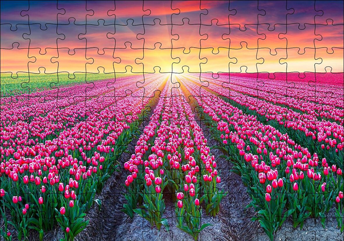 Cakapuzzle  Hollanda Gündoğumunda Lale Tarlaları Puzzle Yapboz MDF Ahşap