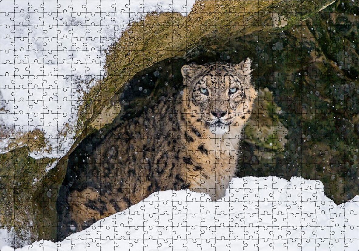 Cakapuzzle  Mağara Ağzında Kar Leoparı Puzzle Yapboz MDF Ahşap