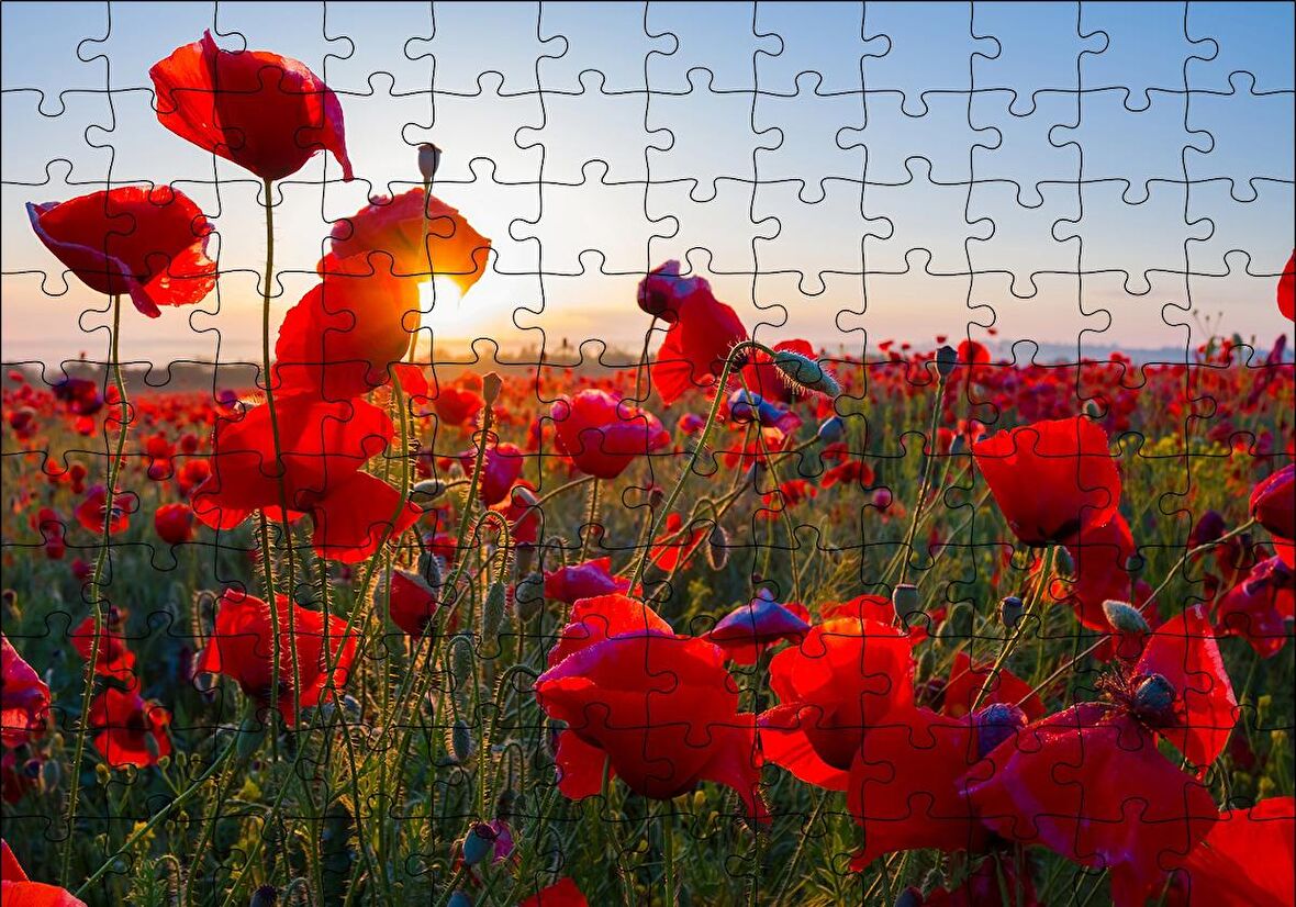 Cakapuzzle  Gündoğumu Çayırda Kırmızı Gelincikler Puzzle Yapboz MDF Ahşap