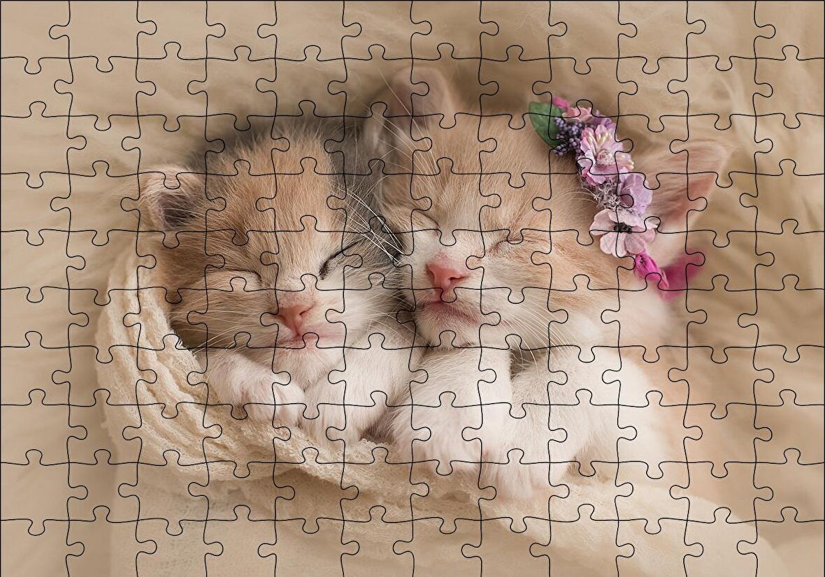 Cakapuzzle  Birlikte Uyuyan Sevimli Yavru Kediler Puzzle Yapboz MDF Ahşap