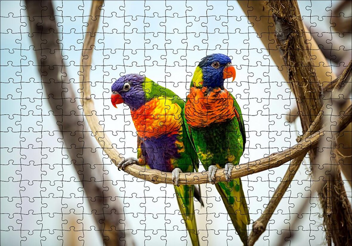 Cakapuzzle  Daldaki Papağan Çift Puzzle Yapboz MDF Ahşap