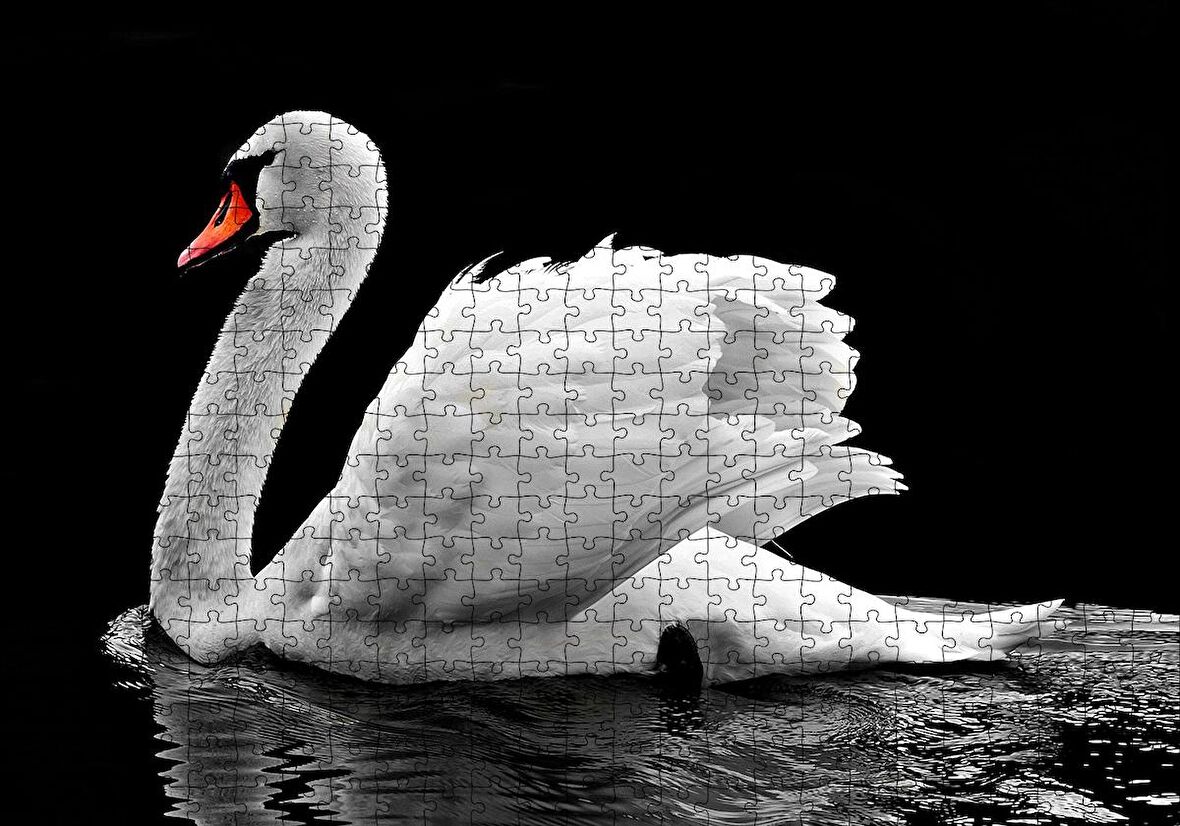 Cakapuzzle  Göldeki Beyaz Kuğu Monochrome Puzzle Yapboz MDF Ahşap