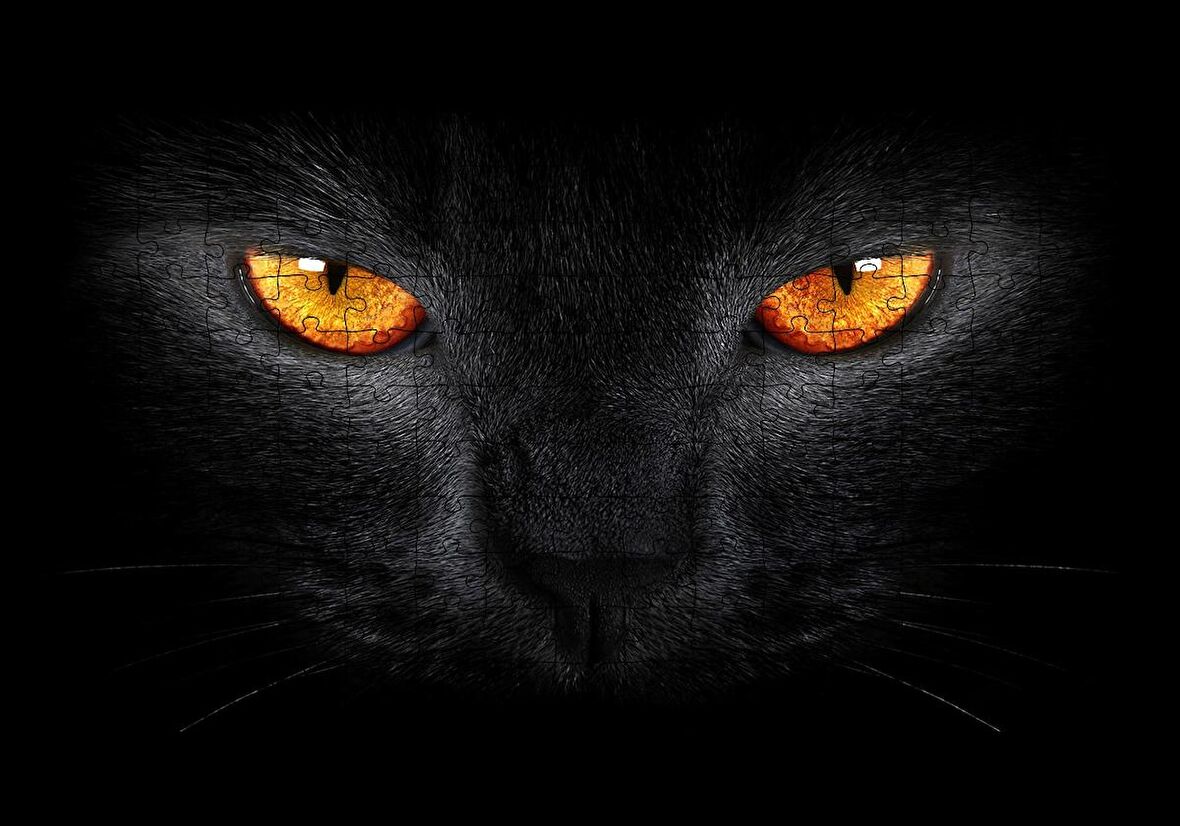 Cakapuzzle  Kara Kedi ve Sarı Gözleri Puzzle Yapboz MDF Ahşap