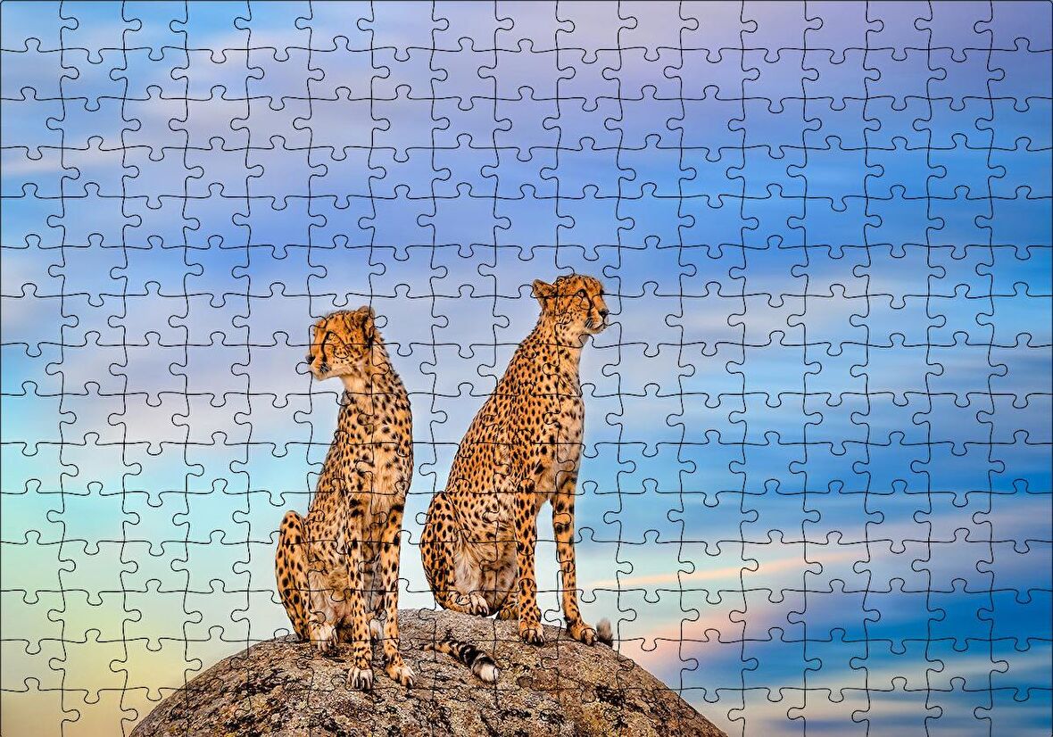 Cakapuzzle  Kayalığın Üzerindeki Çita Çifti Puzzle Yapboz MDF Ahşap