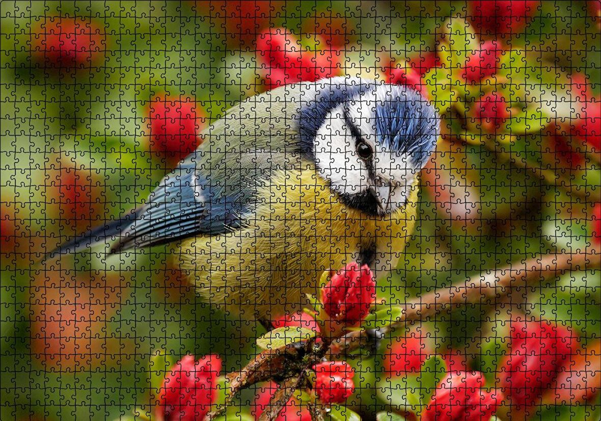 Cakapuzzle  Kırmızı Çiçekli Ağaçta Mavi Sarı Kuş Puzzle Yapboz MDF Ahşap