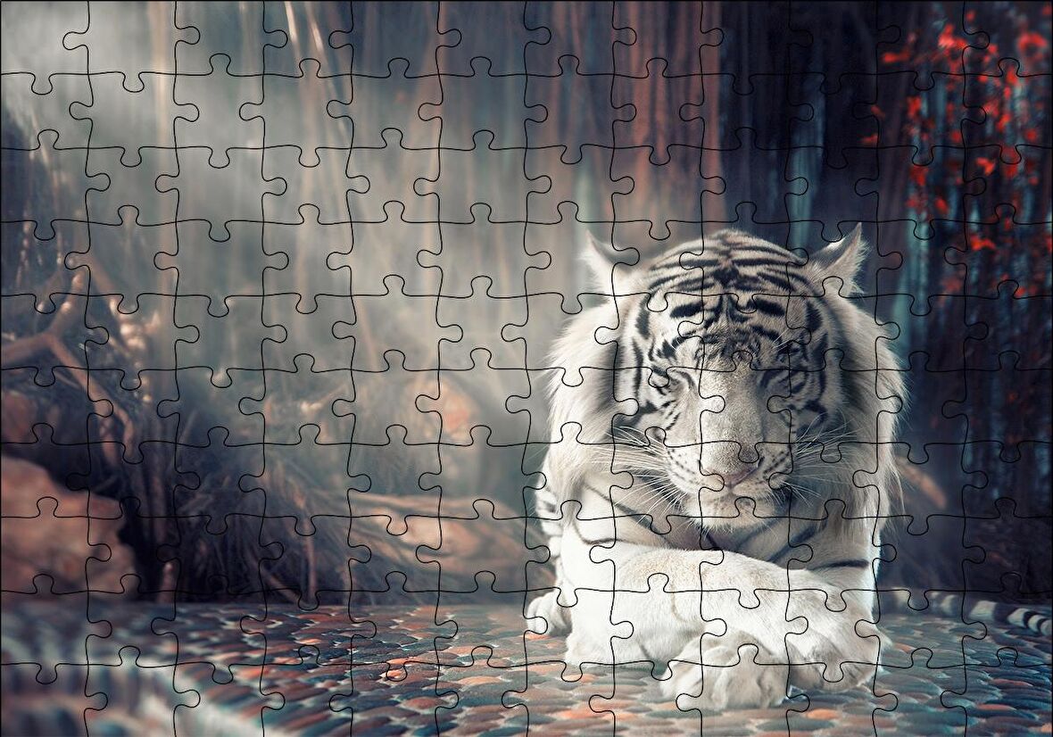 Cakapuzzle  Ormanda Uyuyan Beyaz Kaplan ve Güneş Işıkları Puzzle Yapboz MDF Ahşap