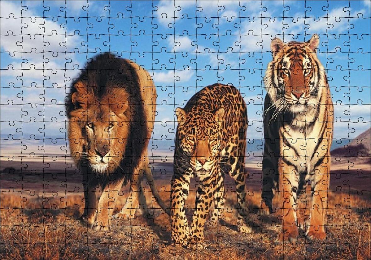 Cakapuzzle  Aslan Leopar ve Kaplan Kompozisyon Puzzle Yapboz MDF Ahşap