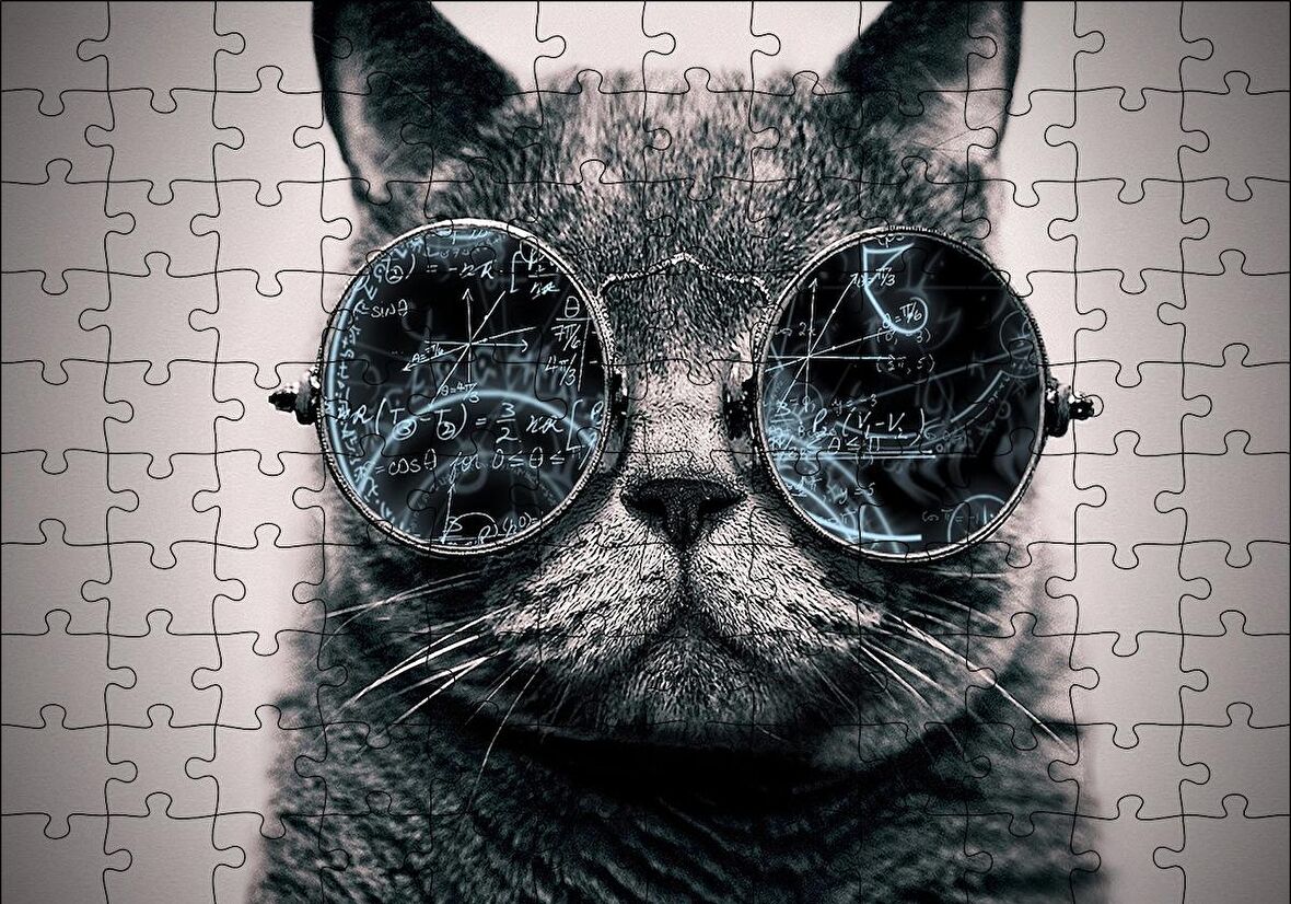 Cakapuzzle  Gözlüklü Siyah Kedi ve Formüller Puzzle Yapboz MDF Ahşap
