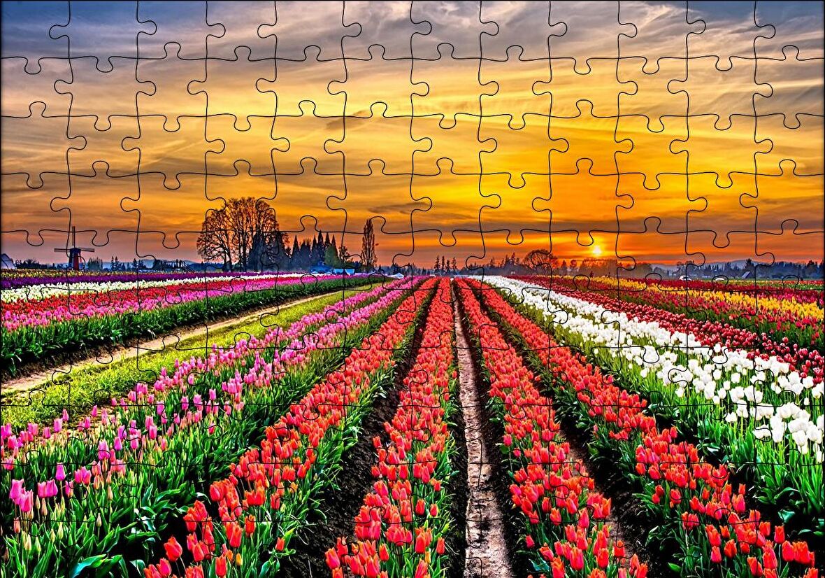 Cakapuzzle  Hollanda'da Günbatımı ve Lale Tarlaları Puzzle Yapboz MDF Ahşap