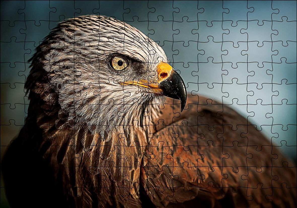 Cakapuzzle  Kahverengi Doğan Kuşu Puzzle Yapboz MDF Ahşap