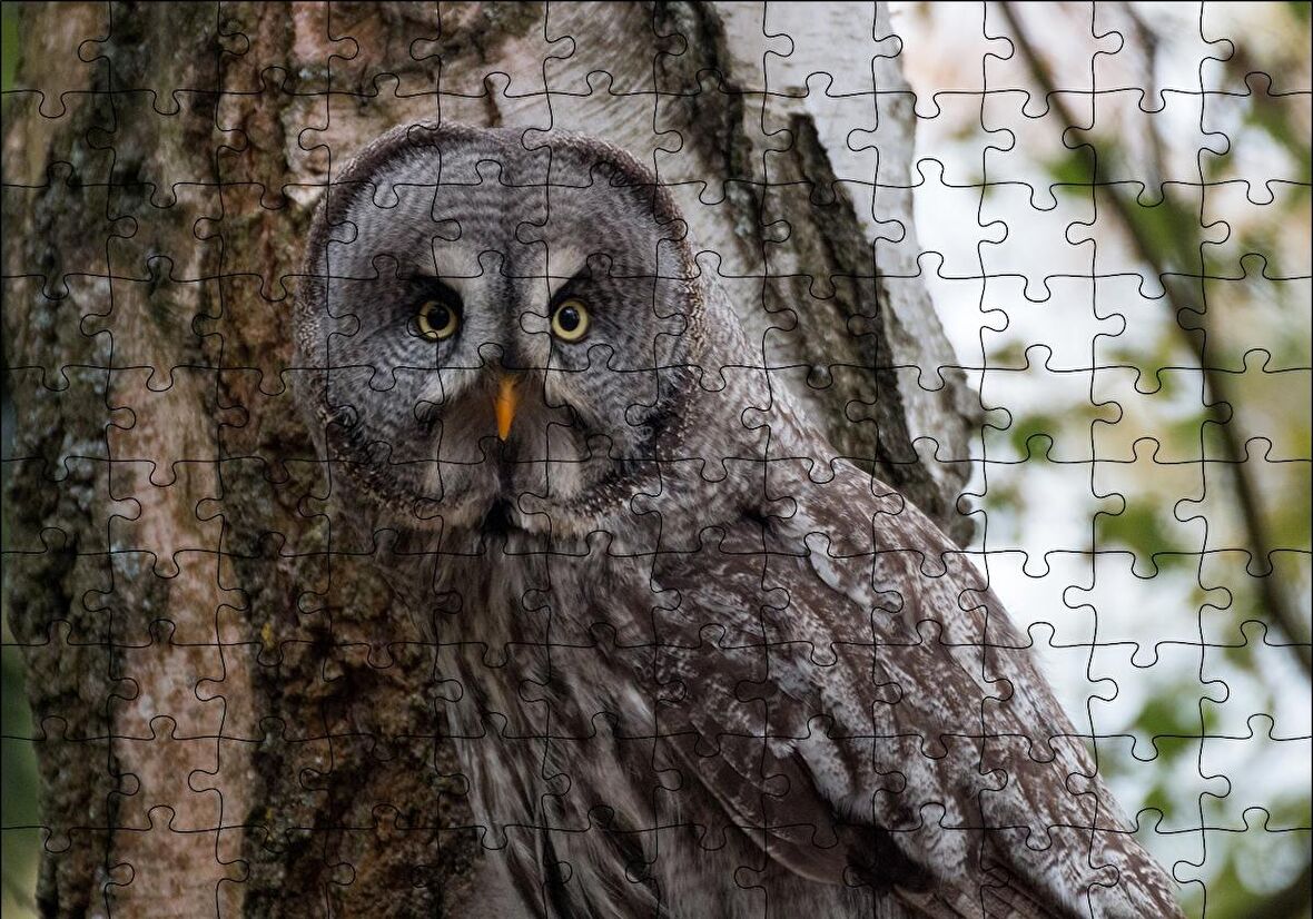 Cakapuzzle  Karlı Ormanda Ağacın Önündeki Baykuş Puzzle Yapboz MDF Ahşap