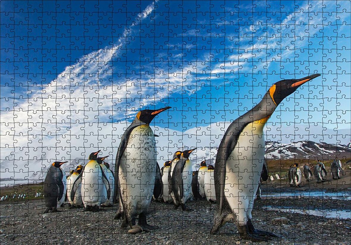 Cakapuzzle  Karlı Topraklar ve Penguenler Puzzle Yapboz MDF Ahşap