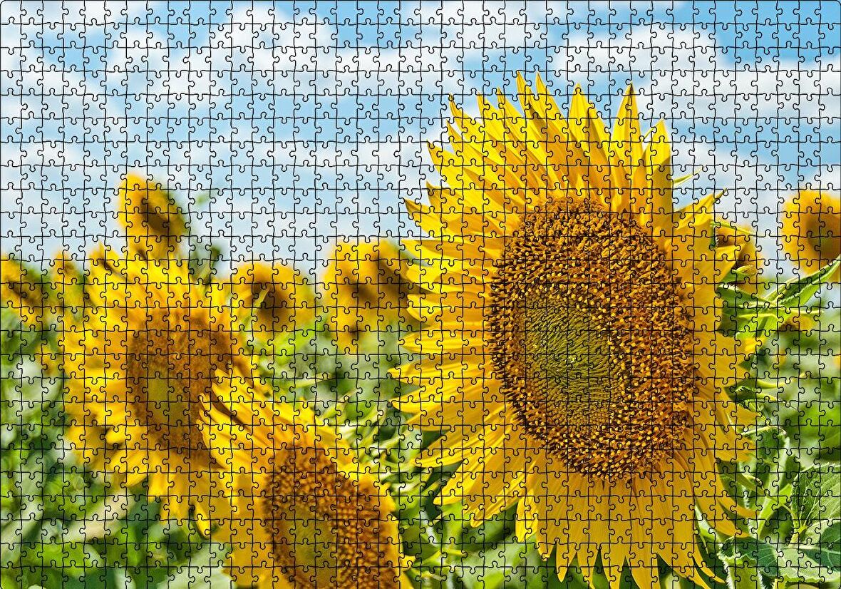 Cakapuzzle  Günebakan Çiçekleri Puzzle Yapboz MDF Ahşap