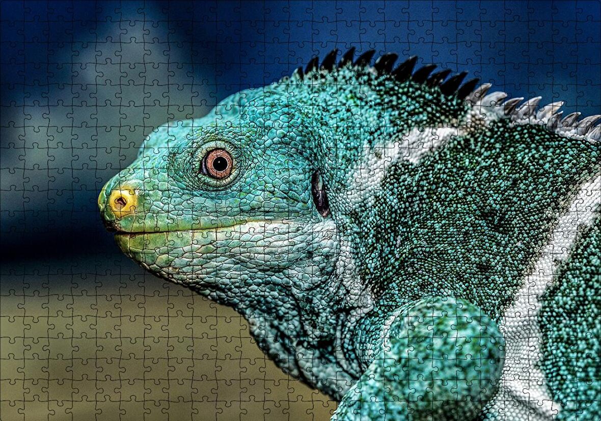 Cakapuzzle  Dev Kertenkele Puzzle Yapboz MDF Ahşap