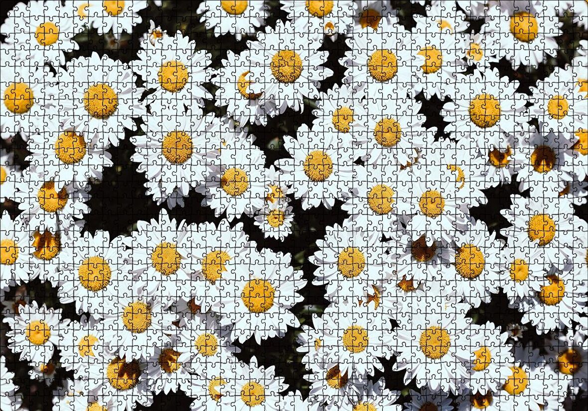 Cakapuzzle  Bembeyaz Papatyalar Puzzle Yapboz MDF Ahşap