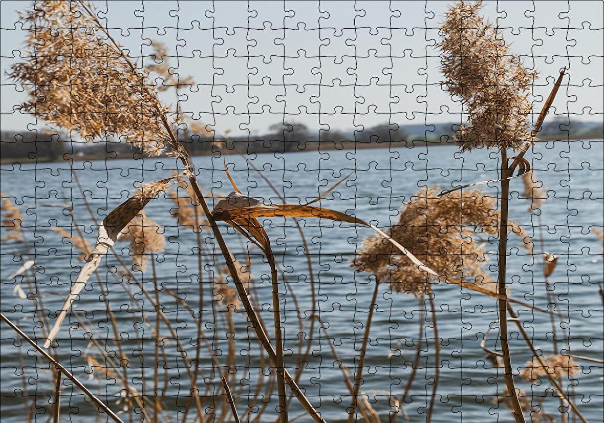 Cakapuzzle  Göl Kıyısında Sazlar Puzzle Yapboz MDF Ahşap