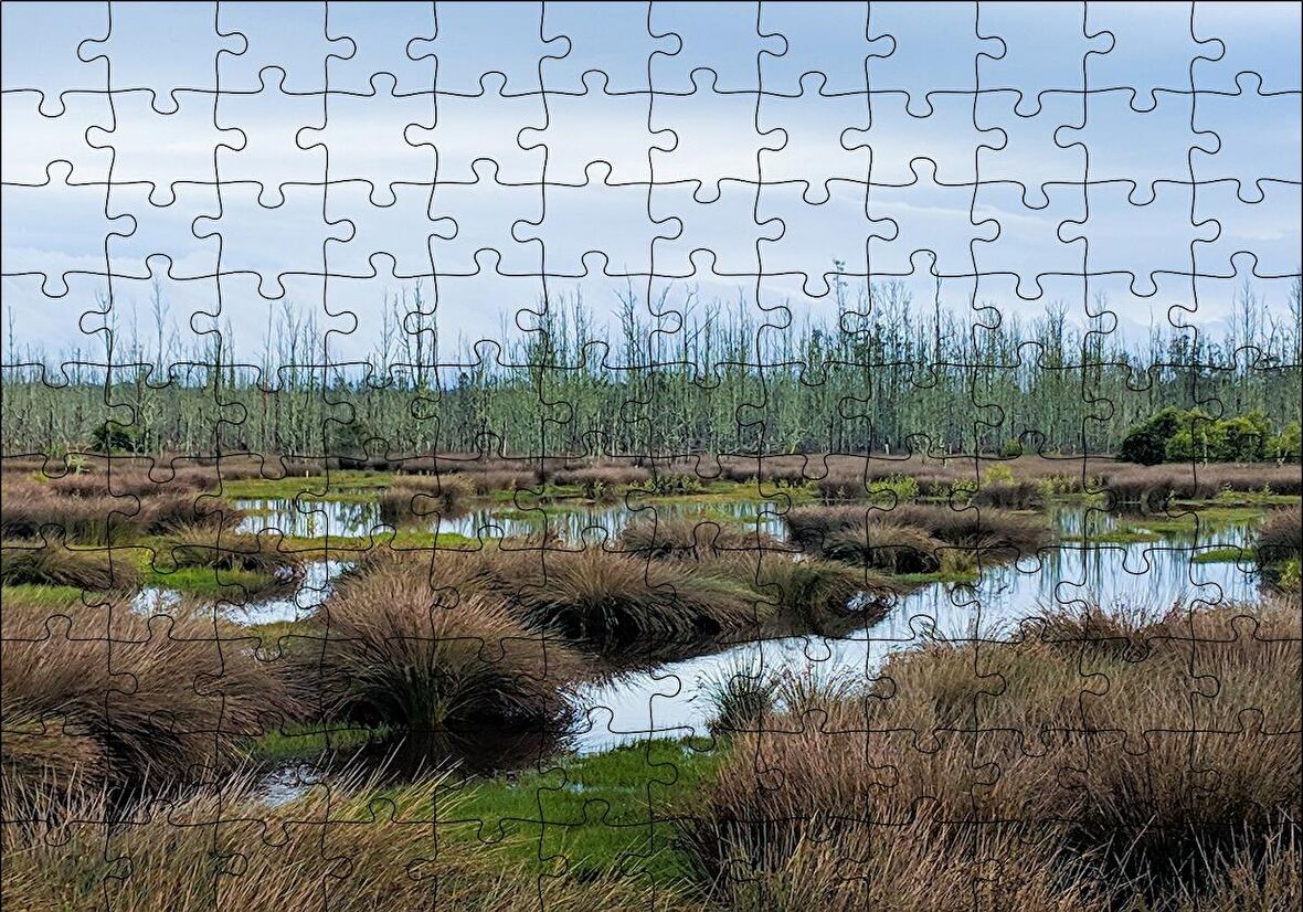 Cakapuzzle  Sazlıklar ve Su Kenarında Otlar Puzzle Yapboz MDF Ahşap