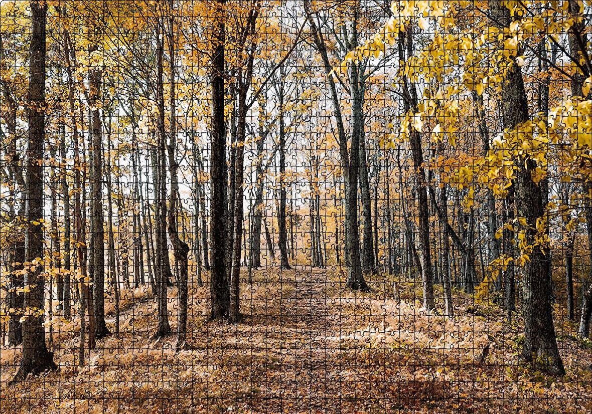 Cakapuzzle  Sonbahar Renklerinde Orman Puzzle Yapboz MDF Ahşap