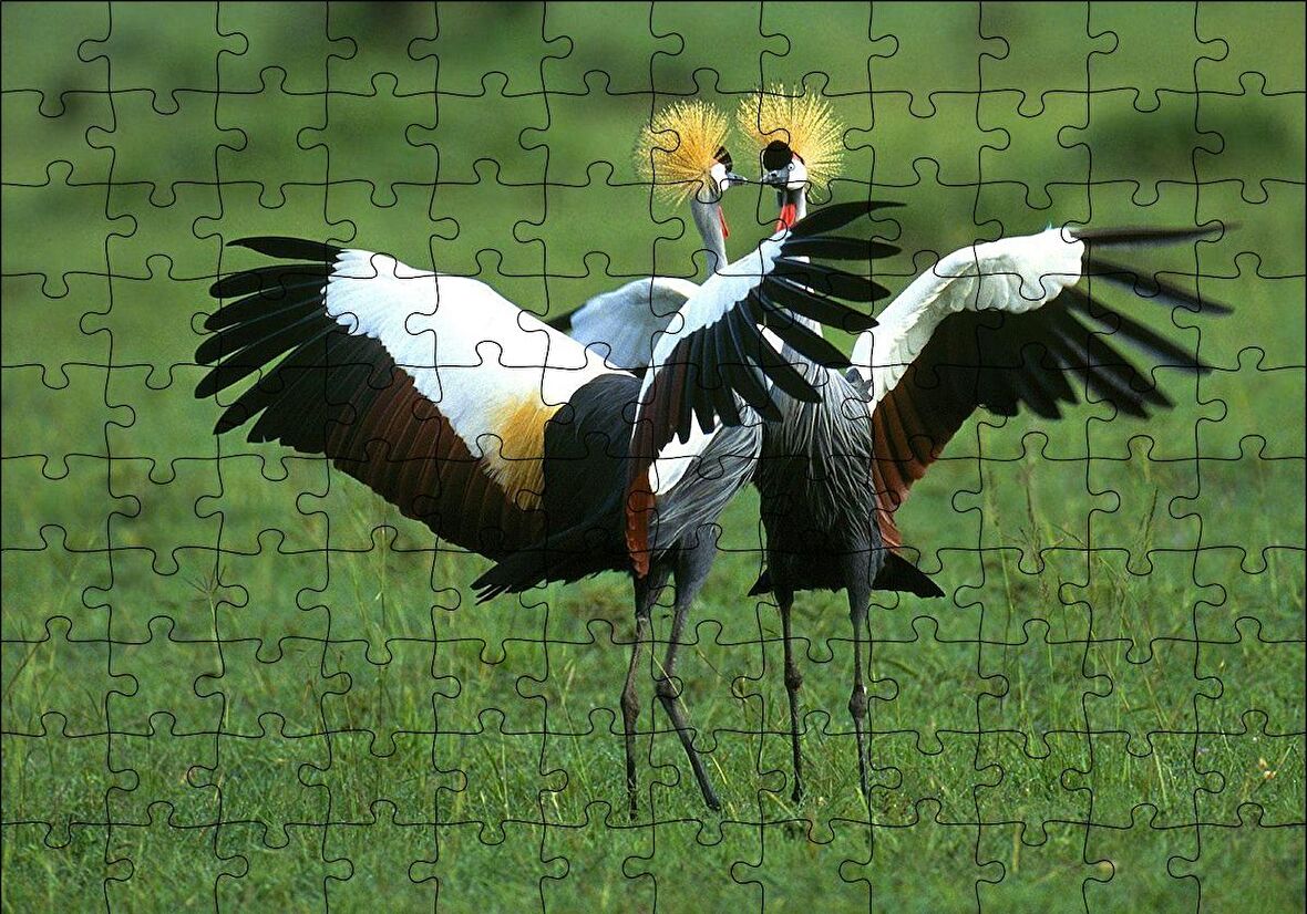 Cakapuzzle  Çayırda Dans Eden Turnalar Puzzle Yapboz MDF Ahşap