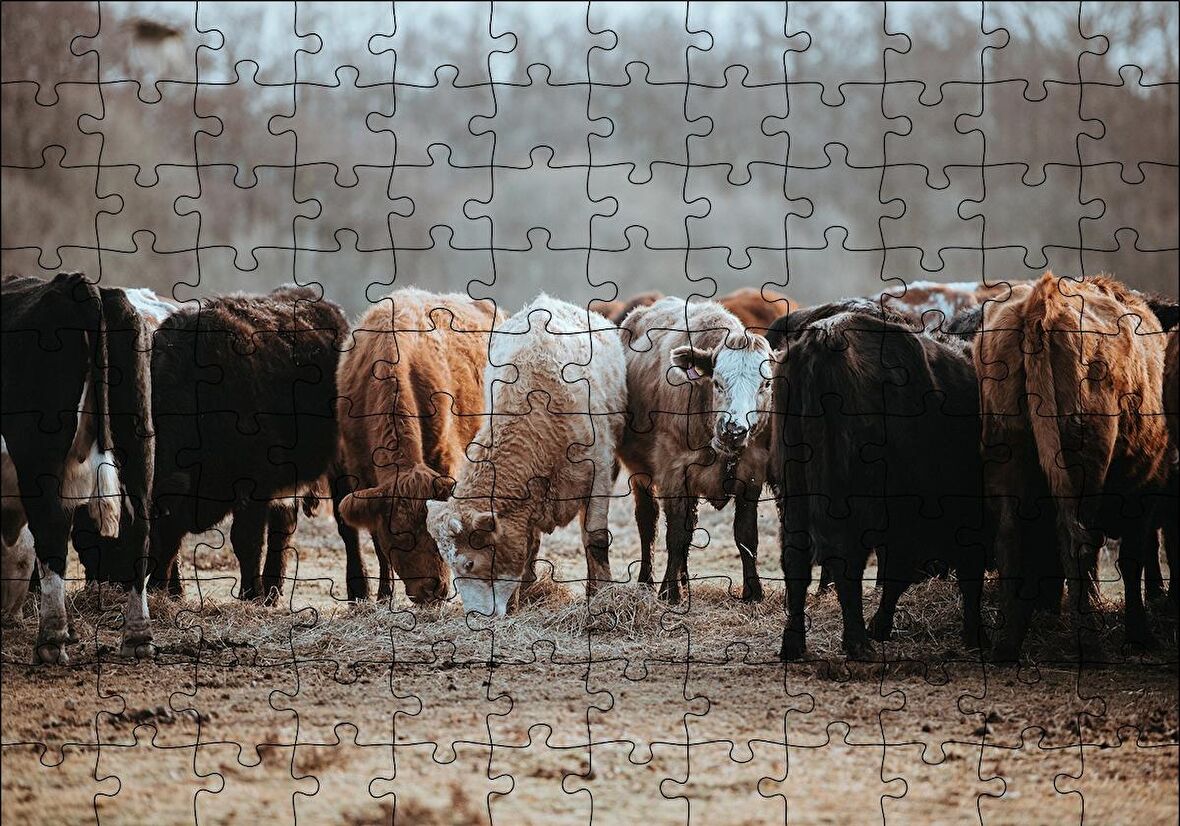 Cakapuzzle  Otlayan Büyükbaş Hayvanlar Puzzle Yapboz MDF Ahşap