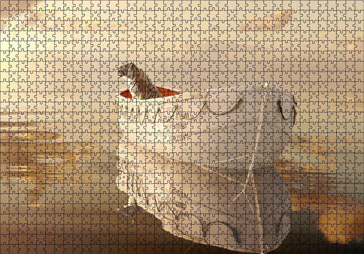 Cakapuzzle  Pi'nin Yaşamı Kaplan ve Sandal Puzzle Yapboz MDF Ahşap