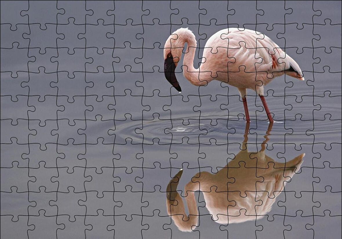 Cakapuzzle  Gölde Avlanan Flamingo Puzzle Yapboz MDF Ahşap