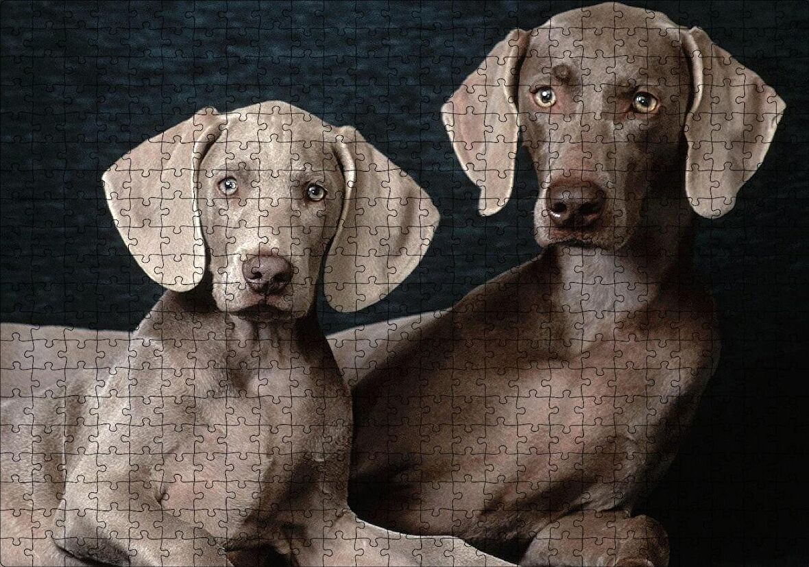 Cakapuzzle  Sevimli Kahverengi Weimaranerler Puzzle Yapboz MDF Ahşap