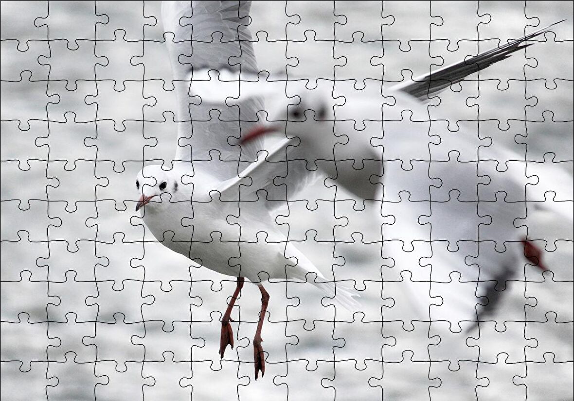 Cakapuzzle  Deniz ve Martılar Puzzle Yapboz MDF Ahşap