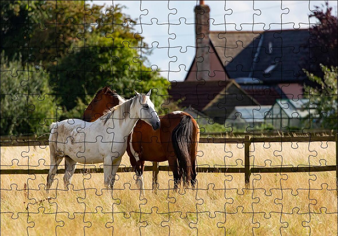 Cakapuzzle  Kahverengi ve Beyaz Atlar Puzzle Yapboz MDF Ahşap