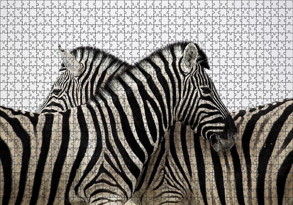 Cakapuzzle  Yanyana Bir Çift Zebra Puzzle Yapboz MDF Ahşap
