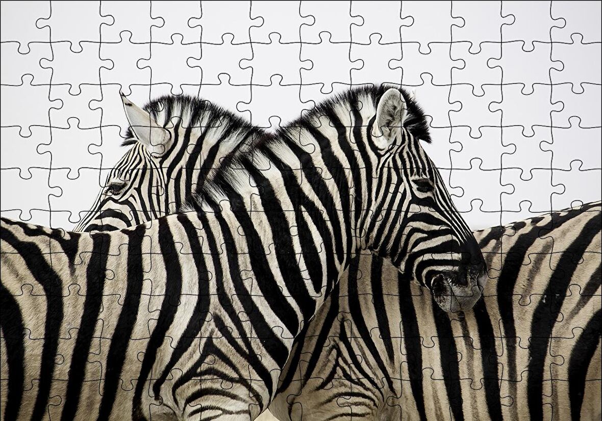 Cakapuzzle  Yanyana Bir Çift Zebra Puzzle Yapboz MDF Ahşap
