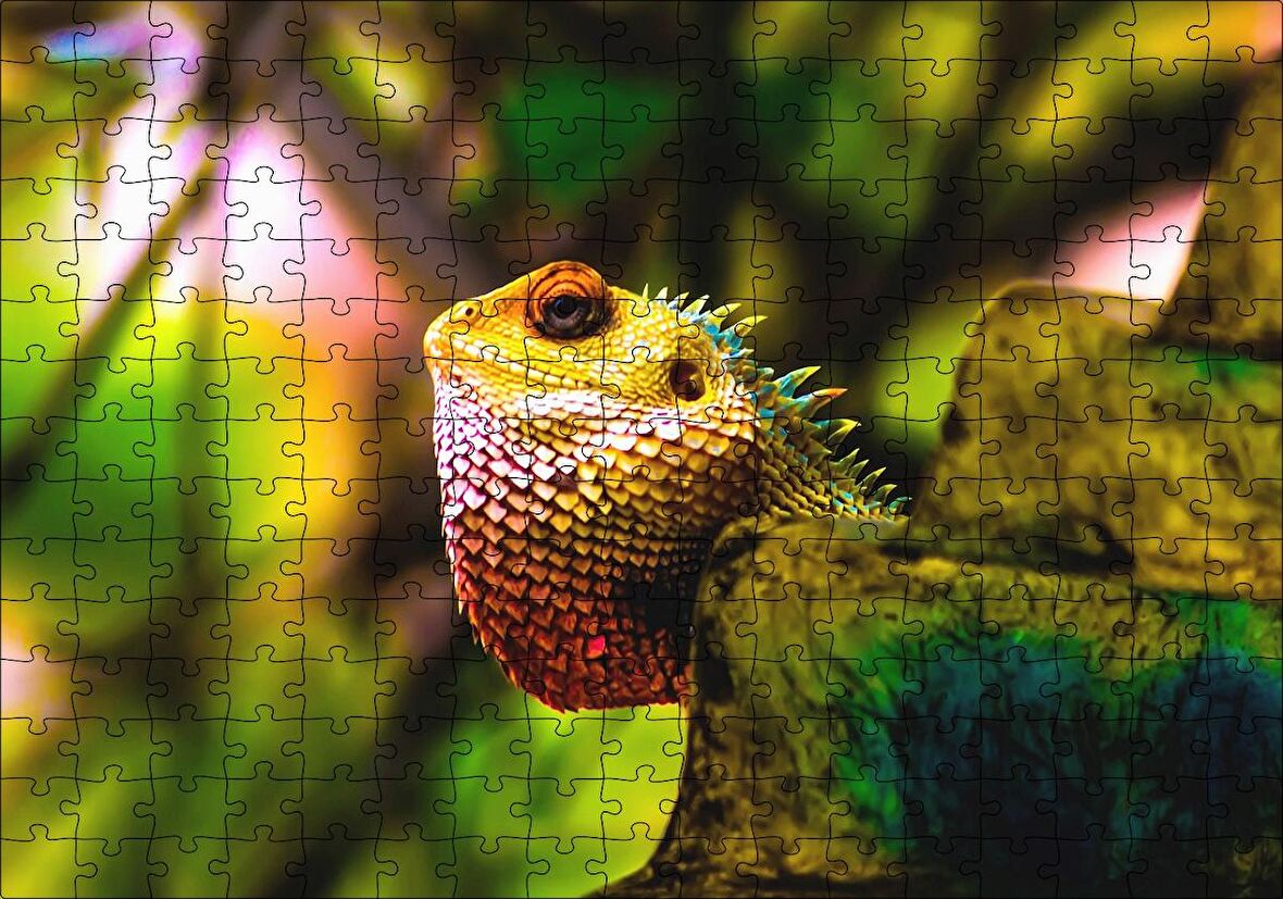 Cakapuzzle  Doğal Yaşamda İguana Puzzle Yapboz MDF Ahşap