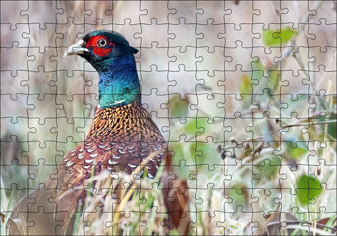 Cakapuzzle  Çalılıklar Arasındaki Sülün Puzzle Yapboz MDF Ahşap