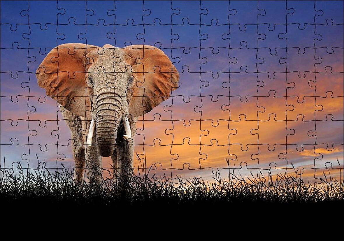Cakapuzzle  Çayırdaki Yetişkin Fil ve Kızıl Gökler Puzzle Yapboz MDF Ahşap