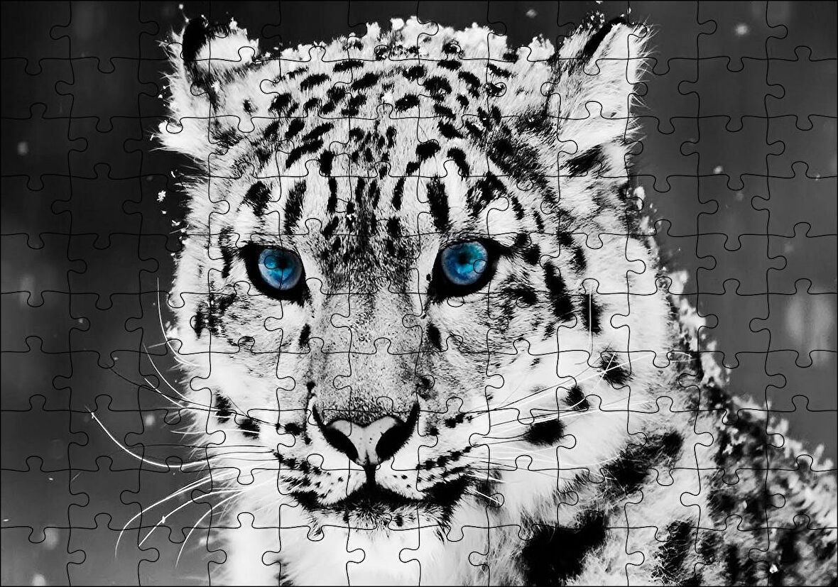 Cakapuzzle  Kar Leoparı ve Mavi Gözleri Puzzle Yapboz MDF Ahşap