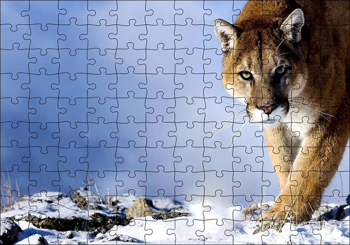 Cakapuzzle  Karlı Tepedeki Puma Puzzle Yapboz MDF Ahşap