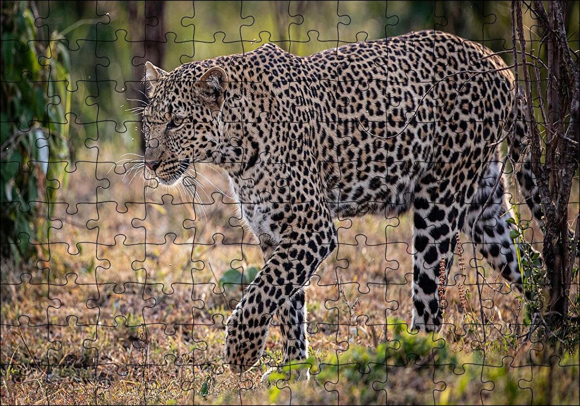 Cakapuzzle  Kuru Otların Üzerinde Yürüyen Leopar Puzzle Yapboz MDF Ahşap