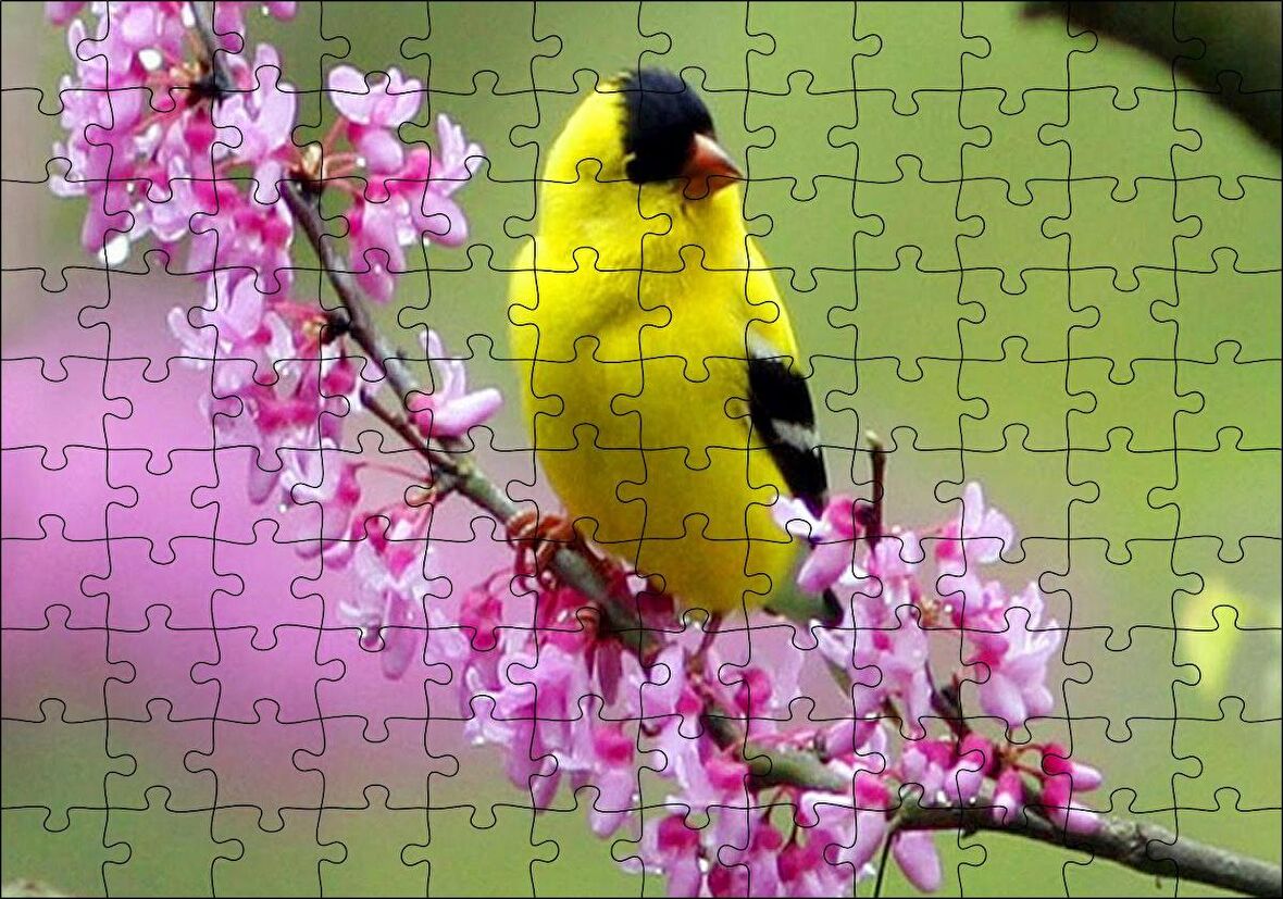 Cakapuzzle  Pembe Çiçekli Dalda Sarı Siyah Kuş Puzzle Yapboz MDF Ahşap
