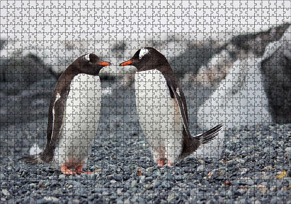 Cakapuzzle  Sevimli Penguenler ve Çakıl Taşları Puzzle Yapboz MDF Ahşap