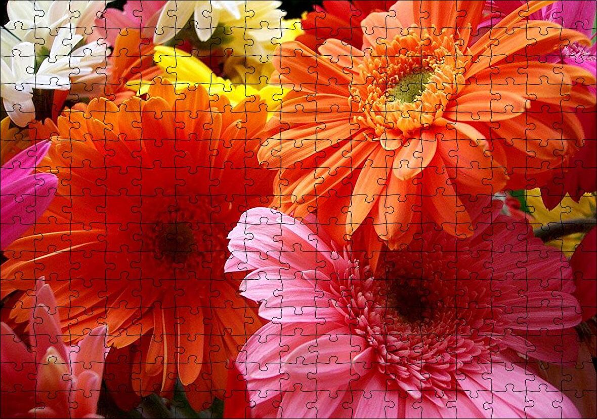 Cakapuzzle  Gerbera Çiçekleri Turunculu Pembeli Puzzle Yapboz MDF Ahşap