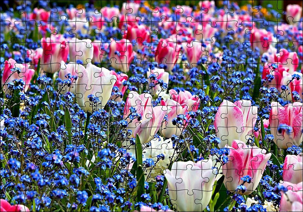 Cakapuzzle  Lale Çiçeği Ve Bahar Çiçekleri Puzzle Yapboz MDF Ahşap